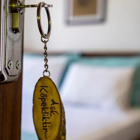 Ayisigi Hotel *