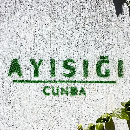 Hotel Ayisigi