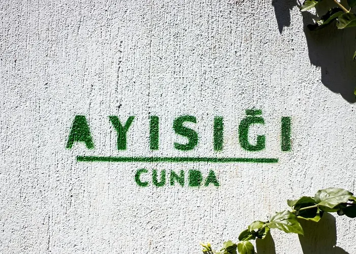 Hotel Ayisigi